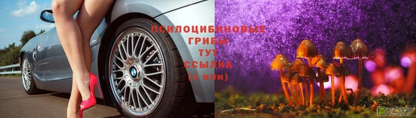винт Дмитров