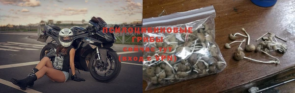 меф Дмитриев
