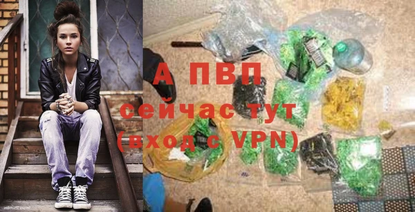винт Дмитров