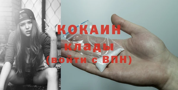 меф Дмитриев