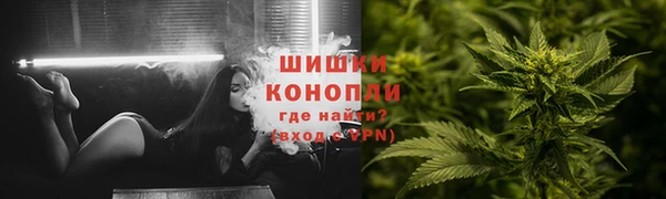 молекула духа Дмитровск