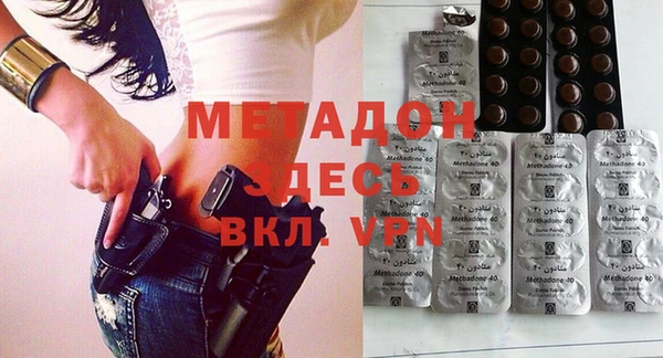 прущие грибы Гусиноозёрск