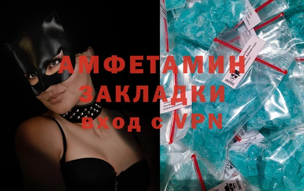 стафф Гусев