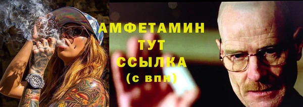 меф Дмитриев
